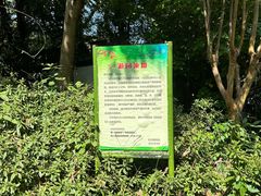 -杭州植物园