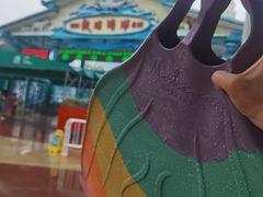 -海合安成都极地海洋公园