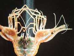 -和创柚子·会席日本料理(新区淮海街店)