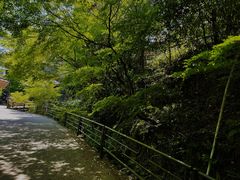 -三千院