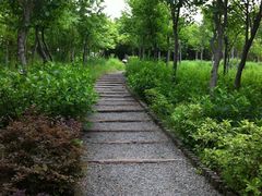 -新江湾城公园