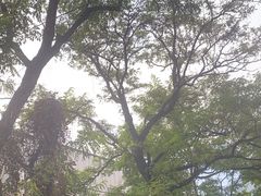 -丽泽山庄·生态怀柔菜·虹鳟鱼(红螺寺店)