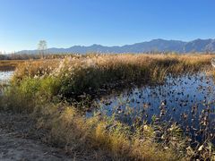 -野鸭湖国家湿地公园