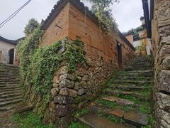 -杨家堂村