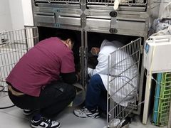-宠颐生宠物医院·犬猫全科·皮肤科(商业街店)