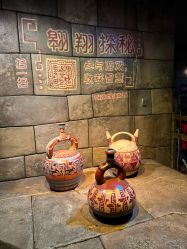 -翱翔飞越地平线