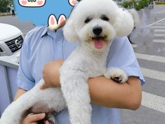 -唐小姐の猫狗洗护·购宠旗舰店(周浦万达店)