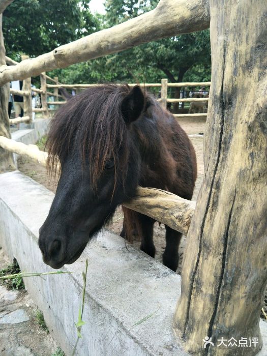 西安秦嶺野生動物園圖片