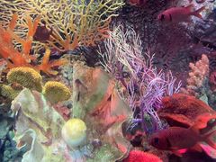 -太平洋海底世界