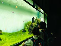-金豆子幼稚园