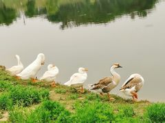 -木兰水镇旅游景区