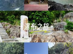 -霸王岭国家森林公园