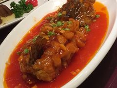 -上海新江南大酒店-中餐厅