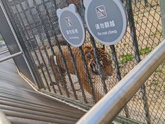 -无锡动物园·太湖欢乐园