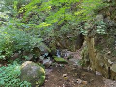 -三块石国家森林公园