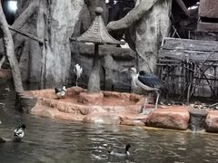 -长鹿旅游休博园