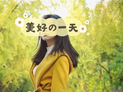 -三里屯东五街银杏大道