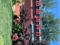 -普兰达德国餐厅·德式脆皮烤猪肘·自酿啤酒(观唐店)