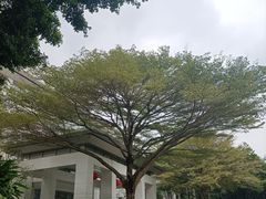 -深圳国际园林花卉博览园