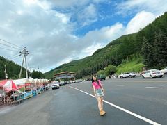 -塞罕坝国家级自然保护区