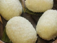茨毛圆子-双塔老饭店