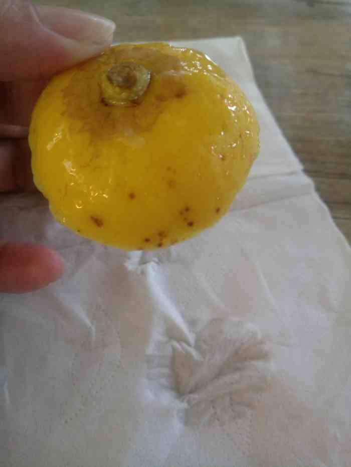 girl蜜菓(汽车南站店)