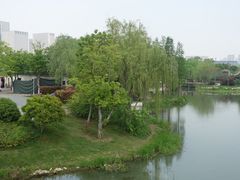 -尚贤河湿地