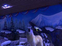 -上海海昌海洋公园