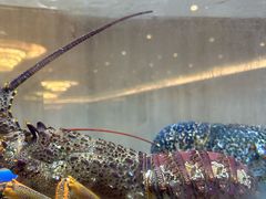 -皇朝尊会(龙之梦大酒店)