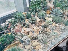 -国家植物园南园