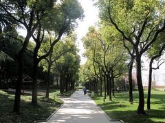 -宋庆龄陵园