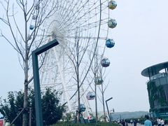 -琴岛之星摩天轮