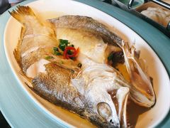 花雕醉黄鱼-寻宝记绍兴菜(鲁迅路店)