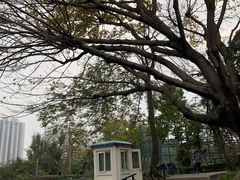 -纪念孙中山市政公园