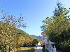 -秦岭风景区