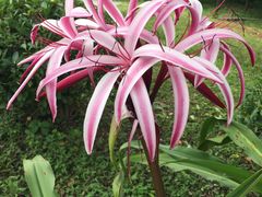 -福建鲤鱼洲酒店