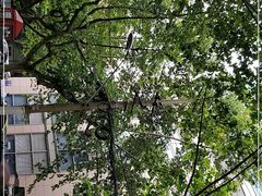 -复旦大学附属中山医院(西院区)