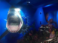 -船奇蒸汽海鲜·闽菜(八市海鲜总店)