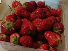 -红星农博物流中心