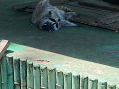 -秦皇岛野生动物园
