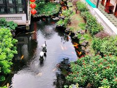 -北园酒家(小北路店)