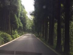 -武陵山森林公园