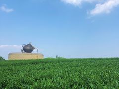 -龙坞茶村