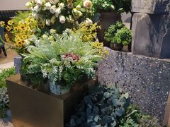 -大树餐厅(红旗街万达店)