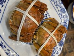 -呼吸森林·生态农庄农家乐私房菜