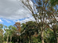 -上海海湾国家森林公园