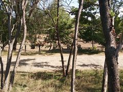 -北京麋鹿生态实验中心
