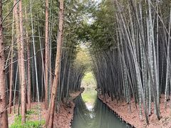 -同里国家湿地公园