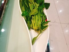-天都火锅酒楼(虹梅南路店)