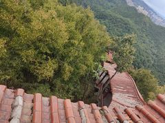-黔灵山公园